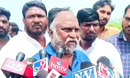 మహబూబ్ సాగర్ లో చేపలు మృతి