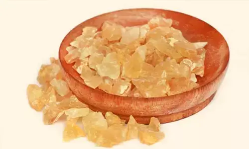 Health Benefits : గోండు కటిరతో ఎన్ని ఆరోగ్య ప్రయోజనాలో.. ఎలా తినాలో తెలుసా..