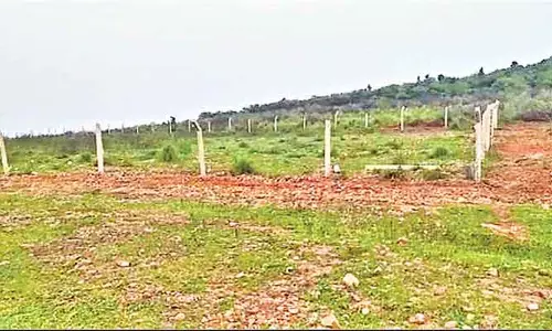 సాగులో ఒకరు.. పట్టాలో మరొకరు..