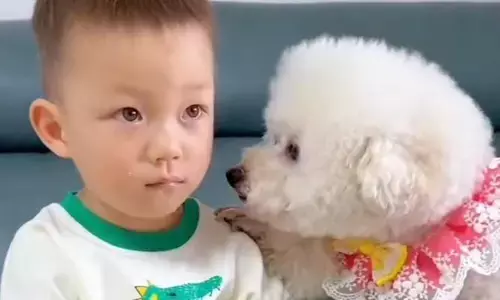 DOG - KID BOND :  ఏడుస్తున్న బుడ్డోడి కళ్లు తుడుస్తూ.. ముద్దాడుతూ.. సముదాయిస్తున్న బుజ్జి కుక్క పిల్ల(VIDEO)
