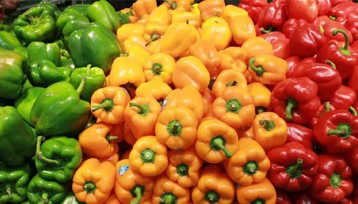 Capsicum Benefits : క్యాప్సికంలోని ఆ పోషకాలు.. ఎలాంటి బెనిఫిట్స్ కలిగిస్తాయంటే.. Capsicum Benefits : క్యాప్సికంలోని ఆ పోషకాలు.. ఎలాంటి బెనిఫిట్స్ కలిగిస్తాయంటే..