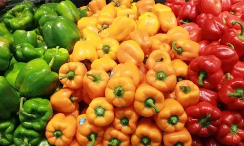 Capsicum Benefits : క్యాప్సికంలోని ఆ పోషకాలు.. ఎలాంటి బెనిఫిట్స్ కలిగిస్తాయంటే..