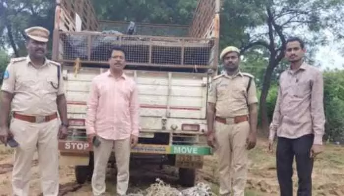అక్రమంగా తరలిస్తున్న అడవి పందుల పట్టివేత అక్రమంగా తరలిస్తున్న అడవి పందుల పట్టివేత