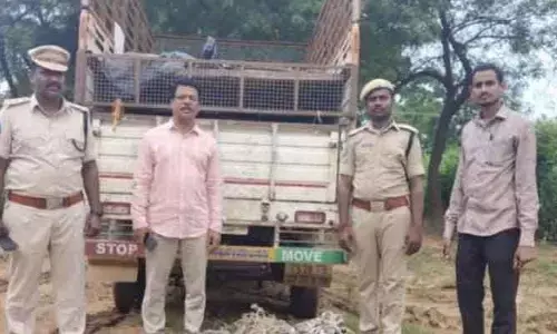 అక్రమంగా తరలిస్తున్న అడవి పందుల పట్టివేత