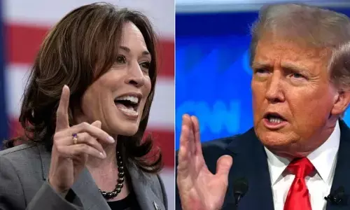 US Election : అమెరికా అధ్యక్ష ఎన్నికల్లో తెలుగువారి ఆకాంక్షలు ఇవీ