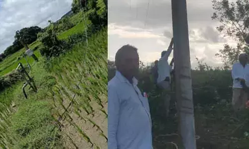 దిశ ఎఫెక్ట్.. విద్యుత్ లైన్ సవరణ