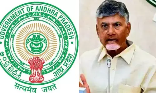 ఏపీ సర్కార్ మరో కీలక నిర్ణయం.. GOIR వెబ్ సైట్‌లో ప్రభుత్వ ఉత్తర్వులు