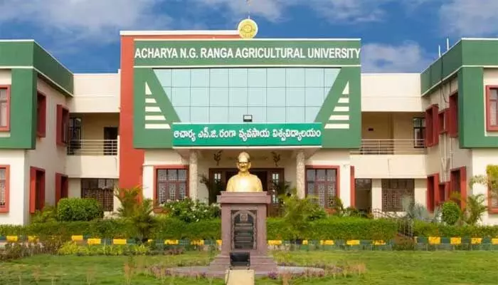 ఎన్ జీ రంగా వర్సిటీలో.. మాస్టర్స్, పీహెచ్ డీ కి దరఖాస్తుల ఆహ్వానం ఎన్ జీ రంగా వర్సిటీలో.. మాస్టర్స్, పీహెచ్ డీ కి దరఖాస్తుల ఆహ్వానం