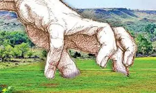 మంథనిలో చెరువులు కబ్జా.. ఇక్కడ హైడ్రా కావాల్సిందే..