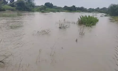 Heavy Rains: జిల్లావ్యాప్తంగా కుండపోత వర్షం