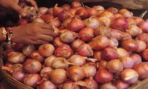 Onion Prices: ఢిల్లీలో కిలో రూ. 35కే ఉల్లిని విక్రయించనున్న కేంద్రం