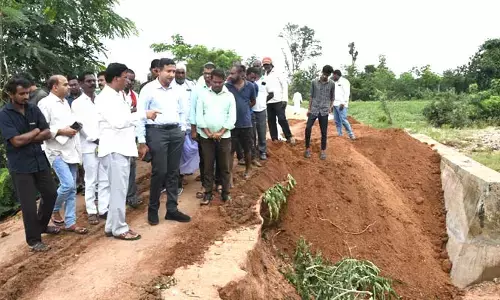 పౌష్టికాహారాన్ని అందించాలి