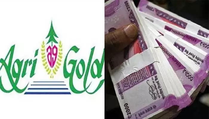 తరలిపోతున్న అగ్రి గోల్డ్ ఆస్తులు.. రూ.లక్షలు గడిస్తున్న అక్రమార్కులు! తరలిపోతున్న అగ్రి గోల్డ్ ఆస్తులు.. రూ.లక్షలు గడిస్తున్న అక్రమార్కులు!
