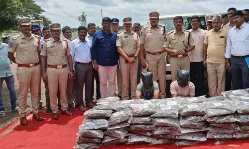 గంజాయి స్మగ్లింగ్‌పై ఉక్కు పాదం.. భారీ మొత్తంలో గంజాయి సీజ్
