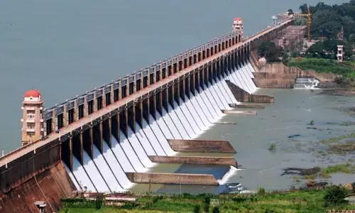 Tungabhadra Dam: తుంగభద్ర డ్యామ్‌కు మరో ఉపద్రవం.. నిపుణుల కమిటీ కీలక హెచ్చరిక