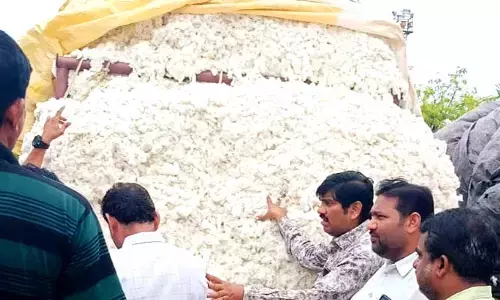 తెల్ల బంగారానికి రికార్డు ధర