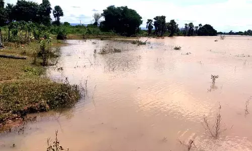 పొద్మూరు ఆవాసాల్లోకి గోదావరి వరద