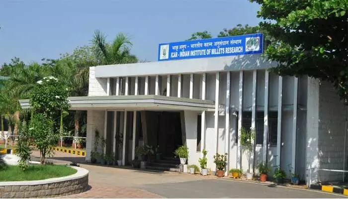 IIMR JOBS: ఐఐఎంఆర్ లో.. ప్రాజెక్ట్ యంగ్ ప్రొఫెషనల్స్ జాబ్ ఓపెనింగ్స్! IIMR JOBS: ఐఐఎంఆర్ లో.. ప్రాజెక్ట్ యంగ్ ప్రొఫెషనల్స్ జాబ్ ఓపెనింగ్స్!