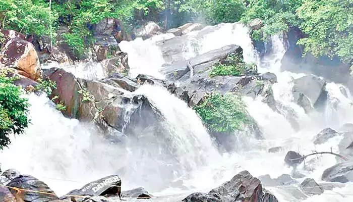 జలపాతంలో పడి ఇద్దరు యువకులు గల్లంతు జలపాతంలో పడి ఇద్దరు యువకులు గల్లంతు