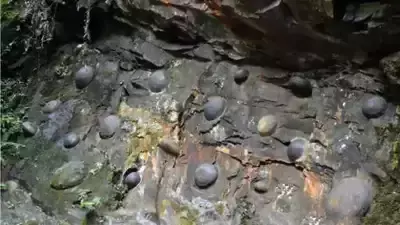 Geological Mystery : గుడ్లు పెడుతున్న పర్వతం.. అదృష్టాన్ని తెచ్చిపెడుతుందని దక్కించుకునేందుకు పోటీ పడుతున్న జనం..
