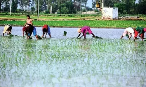 PM KISAN YOJANA : పీఎం కిసాన్ యోజన పథకం అప్లై చేయండిలా..!