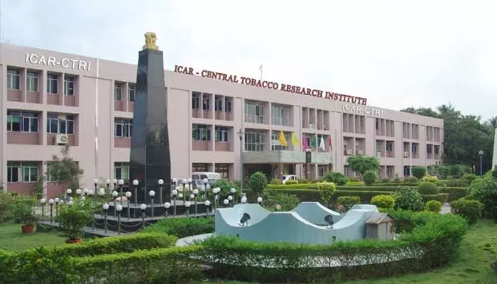 ICAR(CTRI) JOB NOTIFICATION: రాజమహేంద్రవరంలో.. యంగ్ ప్రొఫెషనల్ జాబ్ ఓపెనింగ్స్! ICAR(CTRI) JOB NOTIFICATION: రాజమహేంద్రవరంలో.. యంగ్ ప్రొఫెషనల్ జాబ్ ఓపెనింగ్స్!