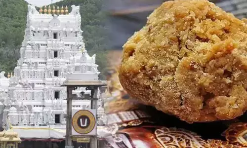 Tirumala News : తిరుమలలో కల్తీ నెయ్యిపై దర్యాప్తు ప్రారంభించిన సిట్