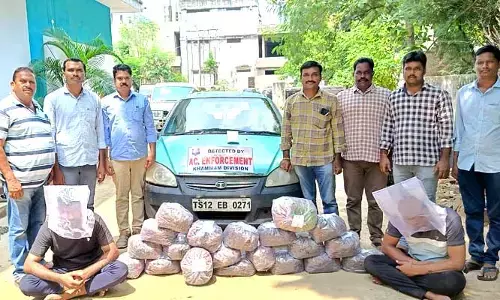 పెద్ద మొత్తంలో గంజాయి పట్టివేత