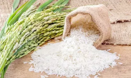 డయాబెటిస్ పేషెంట్లకు శుభవార్త.. ఈ బియ్యంతో షుగర్ కంట్రోల్..
