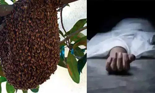 Terrible tragedy:తేనెటీగల దాడిలో ఇద్దరు మృతి.. ముగ్గురి పరిస్థితి విషమం