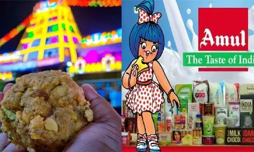 Tirupati Prasadam: తిరుపతి లడ్డూ వివాదం పై.. అమూల్ డెయిరీ రియాక్ట్!