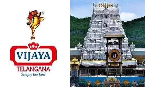 టీటీడీకి నాణ్యమైన నెయ్యి సరఫరా చేస్తాం : తెలంగాణ విజయ డెయిరీ ప్రకటన