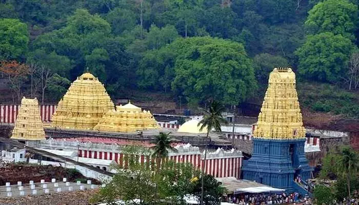 Simhachalam: సింహాచలం ఆలయంలో 945 కిలోల నెయ్యి సీజ్ చేసిన అధికారులు Simhachalam: సింహాచలం ఆలయంలో 945 కిలోల నెయ్యి సీజ్ చేసిన అధికారులు