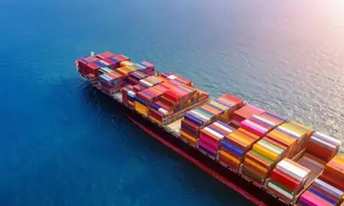 Exports: ఎగుమతి ప్రోత్సాహక పథకాన్ని పొడిగించాలని ప్రభుత్వాన్ని కోరిన అపెక్స్ బాడీ