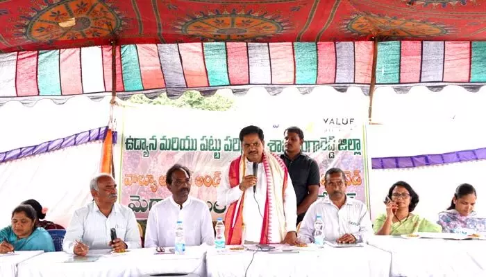 ఆయిల్ ఫామ్ సాగుతో అధిక లాభాలు ఆయిల్ ఫామ్ సాగుతో అధిక లాభాలు