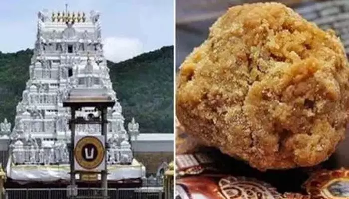 తిరుమల లడ్డూ కల్తీ నెయ్యి కేసులో బిగ్ ట్విస్ట్ తిరుమల లడ్డూ కల్తీ నెయ్యి కేసులో బిగ్ ట్విస్ట్