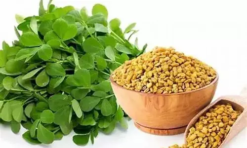 నానబెట్టిన మెంతులతో ప్రయోజనాలు