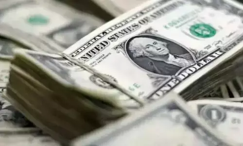 Forex Reserves: తొలిసారి 700 బిలియన్ డాలర్లు దాటిన భారత ఫారెక్స్ నిల్వలు