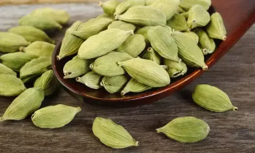 Cardamom : ఏలకులతో మెరిసే చర్మం.. ఇలా యూజ్ చేస్తే బోలెడు బెనిఫిట్స్
