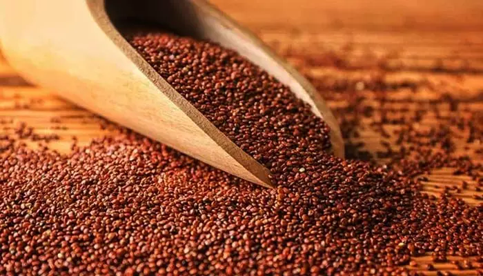 Halim Seeds:హలీం గింజల గురించి ఎప్పుడైనా విన్నారా? రుచితో పాటు..?? Halim Seeds:హలీం గింజల గురించి ఎప్పుడైనా విన్నారా? రుచితో పాటు..??