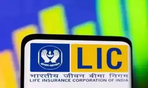 LIC: చిన్న సమూహాల కోసం ఎల్ఐసీ సరికొత్త ప్లాన్