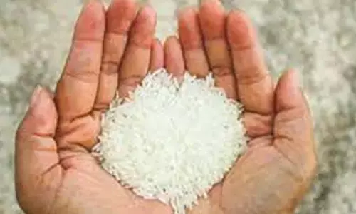 పేదలకు ఫ్రీగా ఫోర్టిఫైడ్ రైస్.. 100 శాతం నిధులు కేంద్రానివే