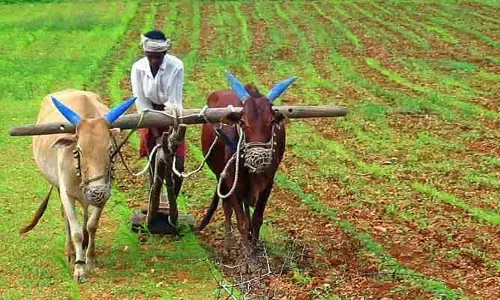 కౌలు రైతులకు సాగు భారం.. చేసిన కష్టం భూస్వామికే చెల్లింపు