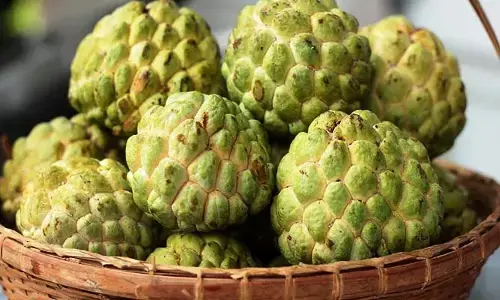 Custard apple : సీతాఫలం.. ఆరోగ్య ప్రదం.. తింటే ఎన్ని లాభాలో తెలుసా?