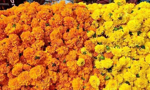 బతుకమ్మ పండుగ వేళ భారమైన బంతి