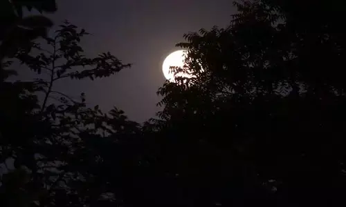 రాత్రి రమణీ