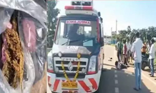 గంజాయి తరలిస్తుండగా రోడ్డు ప్రమాదం.. ఇద్దరు యువకులకు గాయాలు