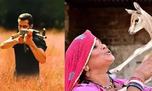 Blackbucks: 550 ఏళ్లు.. బిష్ణోయిలకు - కృష్ణజింకలకు మధ్య ఉన్న బంధం ఇదే !