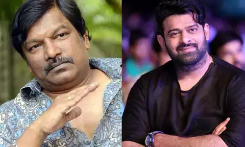 Prabhas: తెలుగు ఇండస్ట్రీ ప్రభాస్‌ను సరిగ్గా ఉపయోగించుకోవడం లేదు.. డైరెక్టర్ షాకింగ్ కామెంట్స్ వైరల్