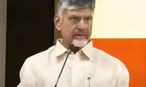 CM Chandrababu: విద్యుద్ఘాత ప్రమాదంపై సీఎం విచారం.. పరిహారం ప్రకటన